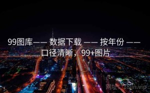 99图库—— 数据下载 —— 按年份 —— 口径清晰，99+图片